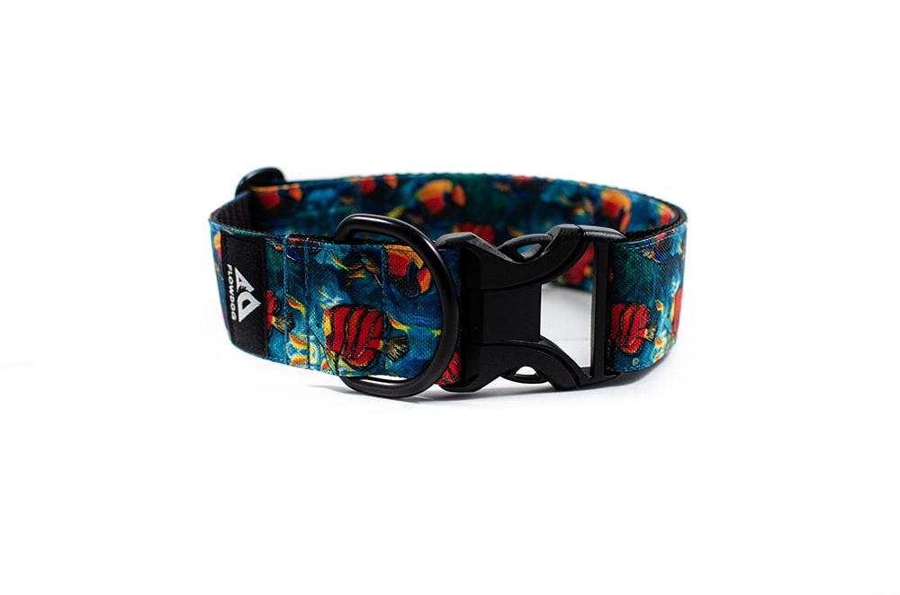 Coral reef - Plus Buckle Collar