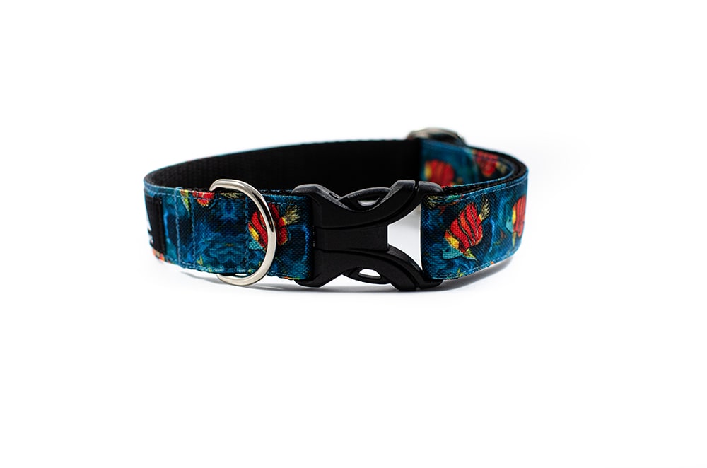 Coral reef - Plus Buckle Collar