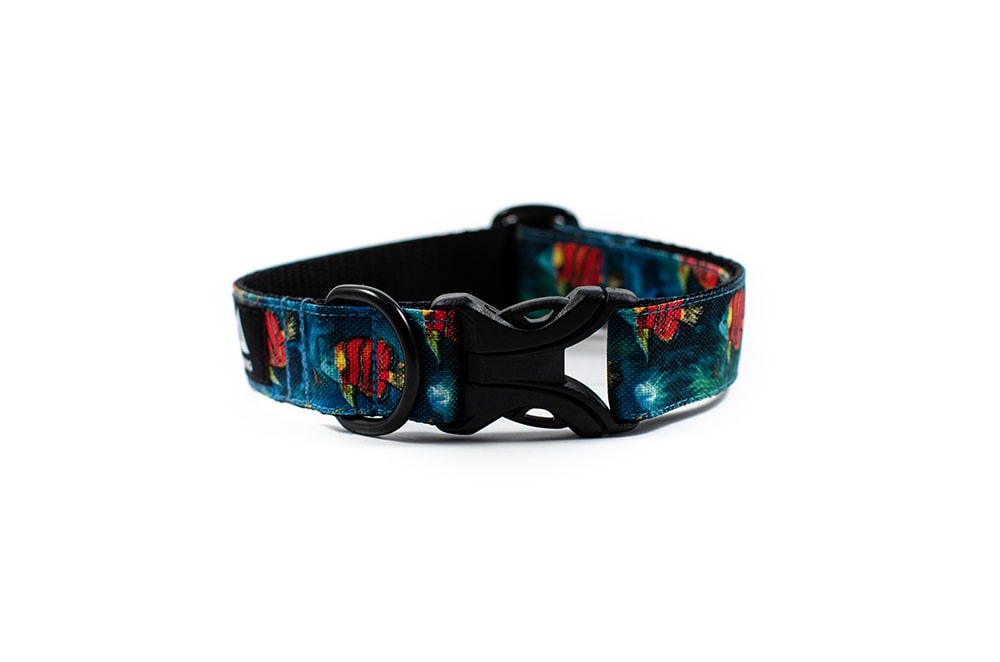 Coral reef - Plus Buckle Collar