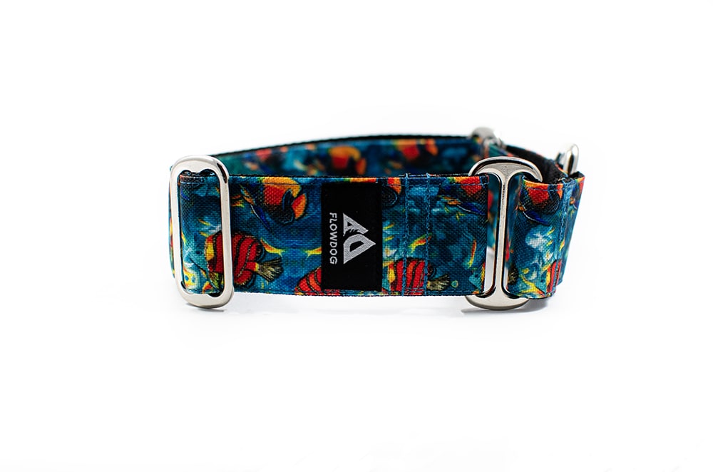 Coral reef - Plus Martingale Collar