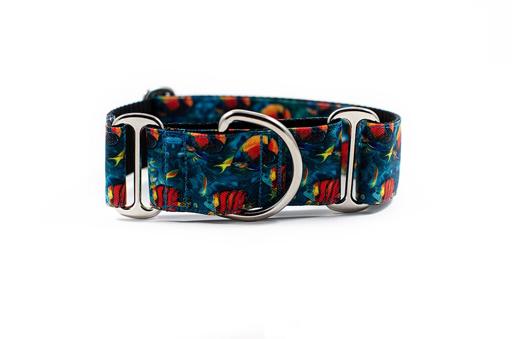 Coral reef - Plus Martingale Collar