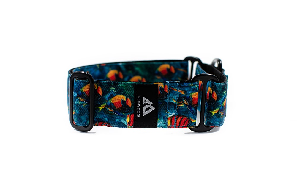 Coral reef - Plus Martingale Collar