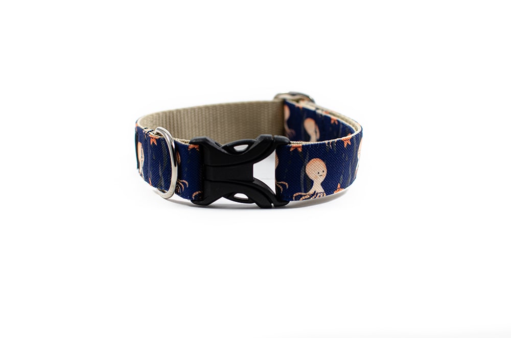 Octopus - Plus Buckle Collar