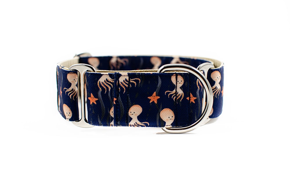 Octopus - Plus Martingale Collar