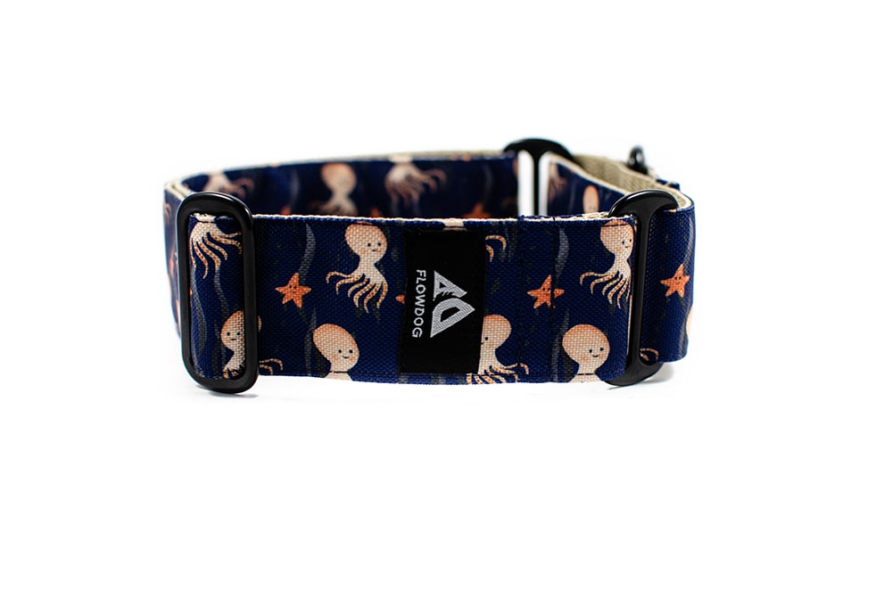 Octopus - Plus Martingale Collar