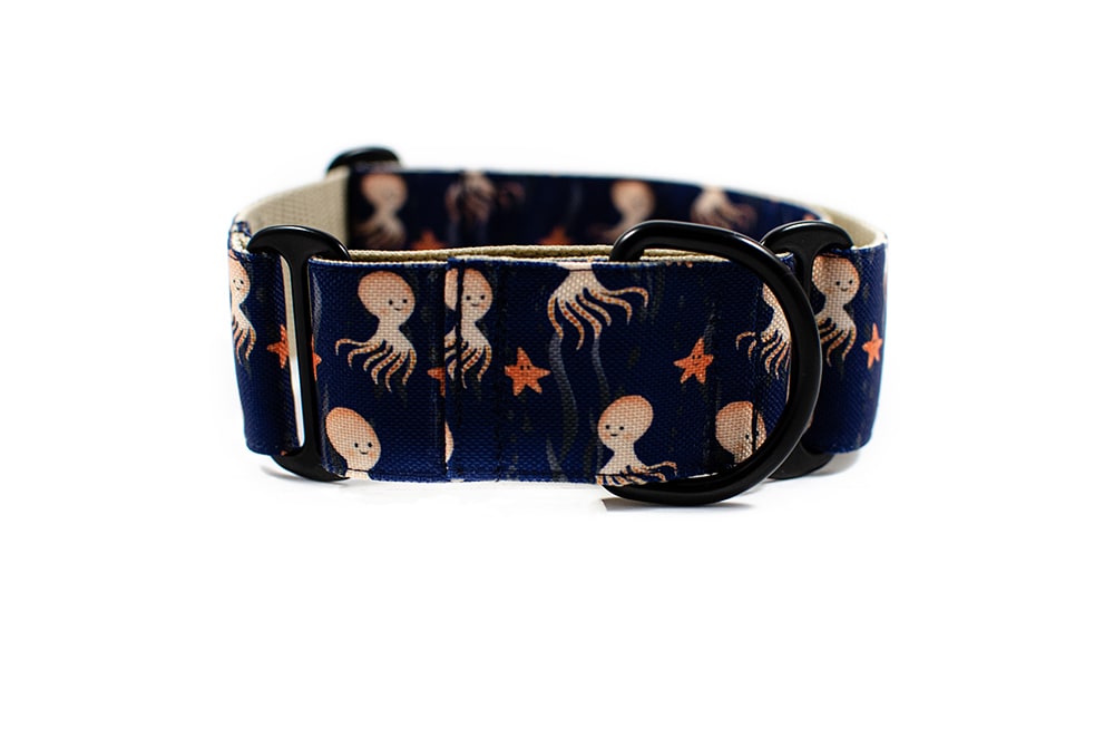 Octopus - Plus Martingale Collar