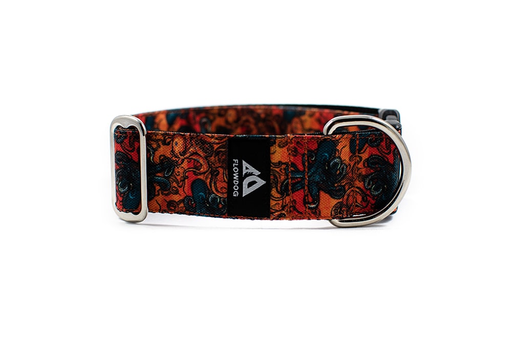 Kraken - Plus Buckle Collar