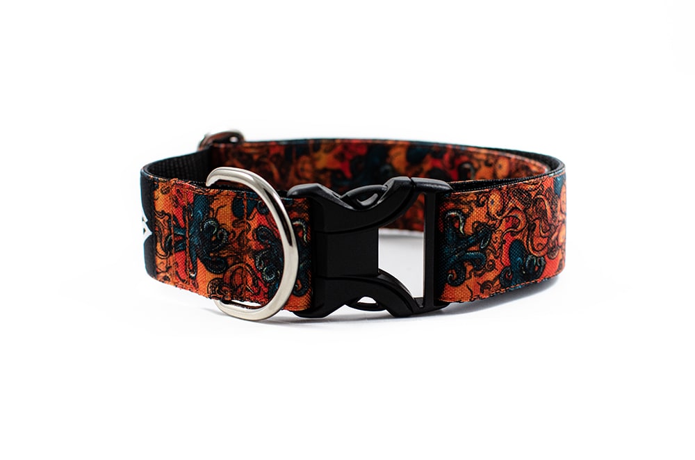 Kraken - Plus Buckle Collar