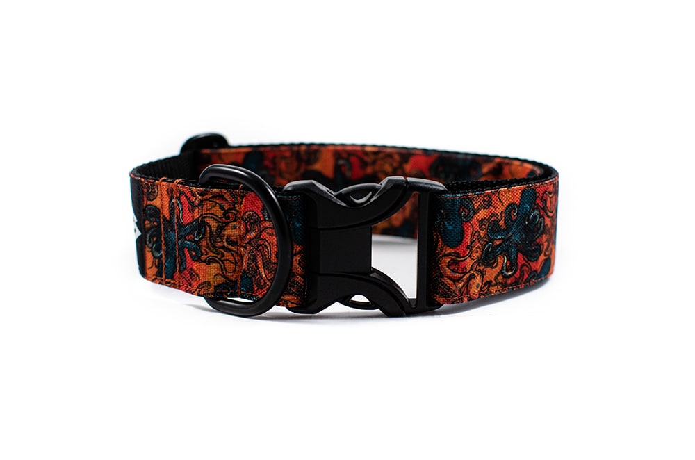 Kraken - Plus Buckle Collar