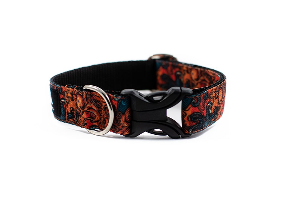 Kraken - Plus Buckle Collar