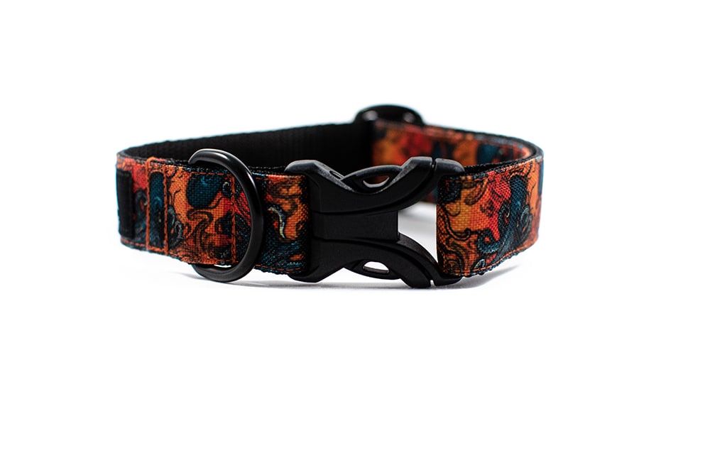 Kraken - Plus Buckle Collar