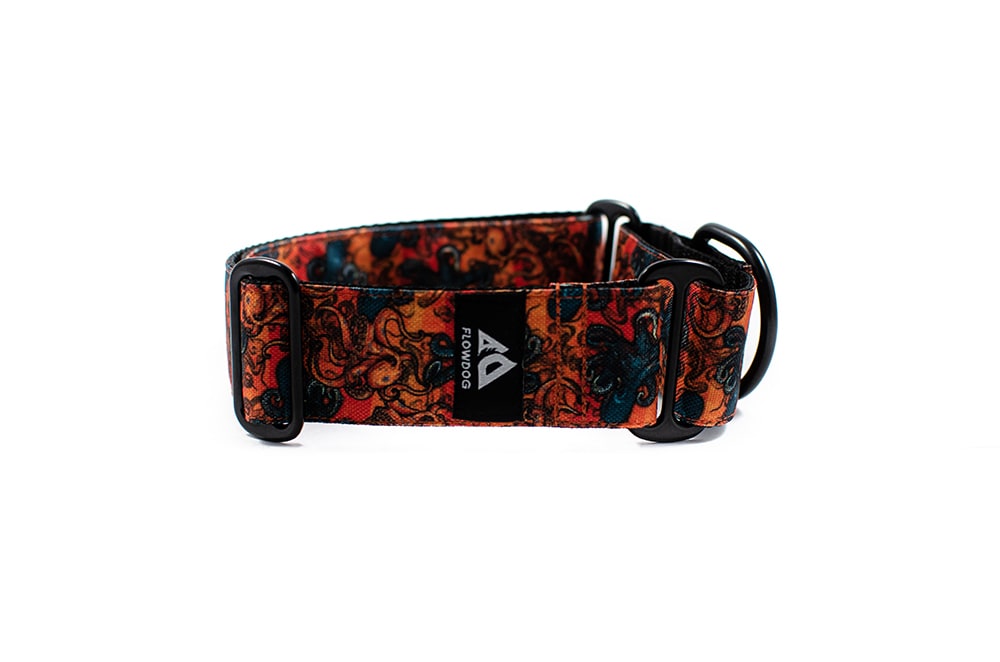 Kraken - Plus Martingale Collar