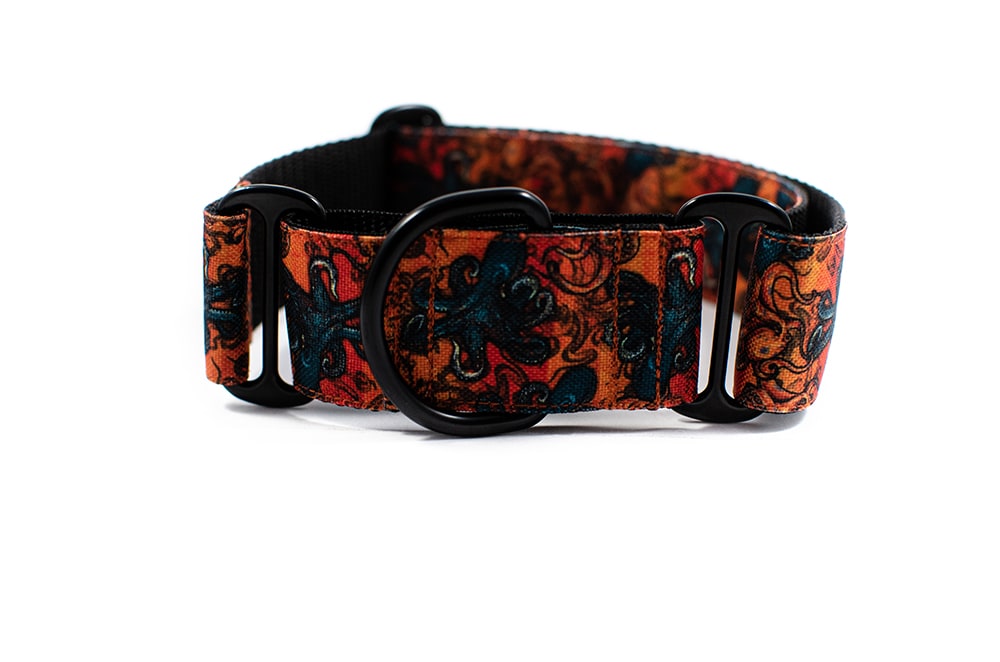 Kraken - Plus Martingale Collar