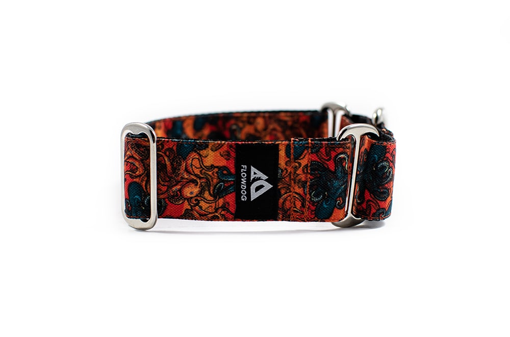 Kraken - Plus Martingale Collar