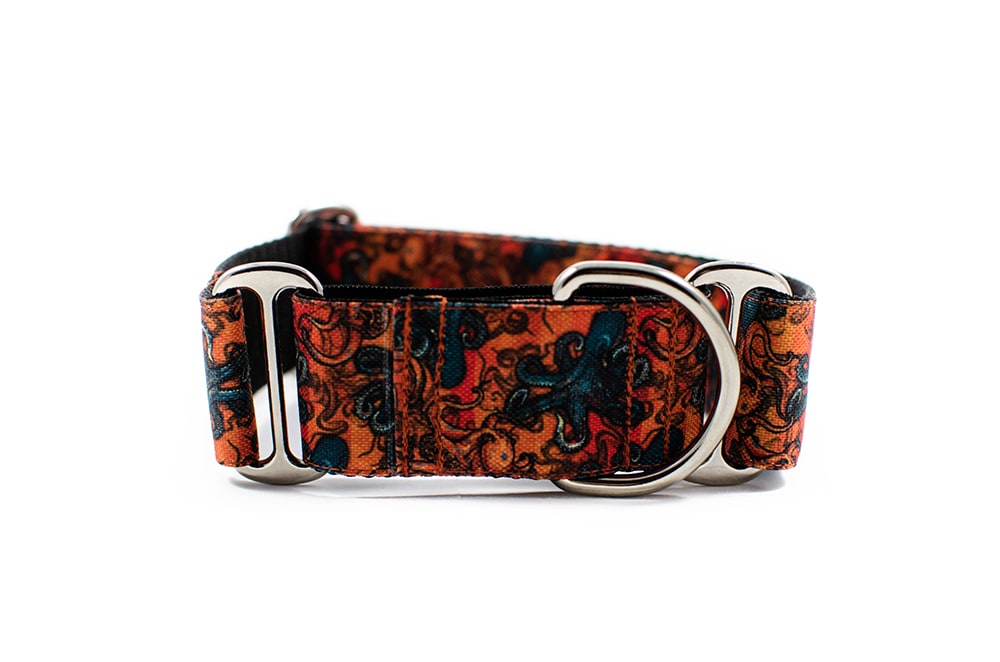 Kraken - Plus Martingale Collar