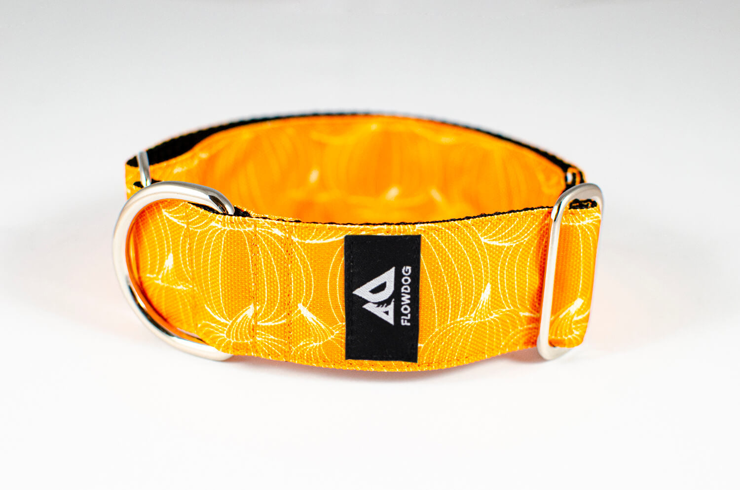 pumpkin orange slip-on dog collar