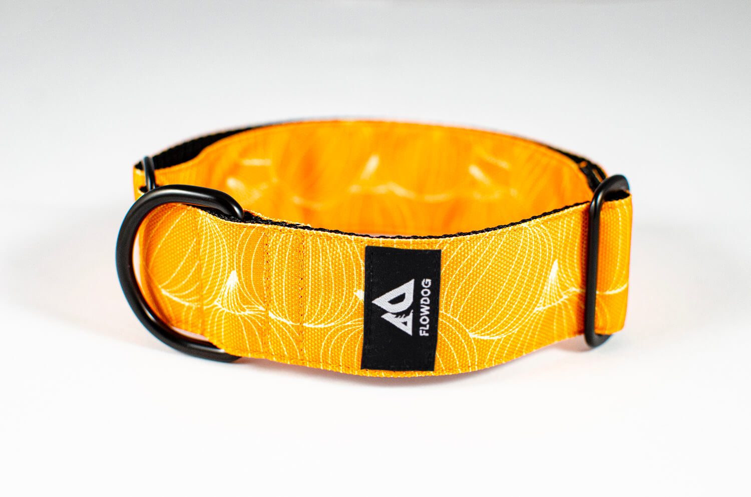 pumpkin orange slip-on dog collar