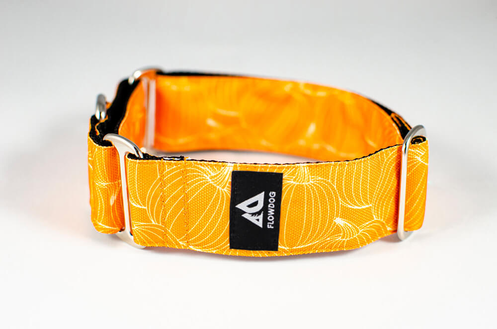 pumpkin orange martingale dog collar