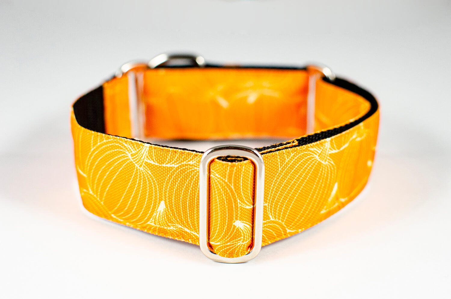 pumpkin orange martingale dog collar