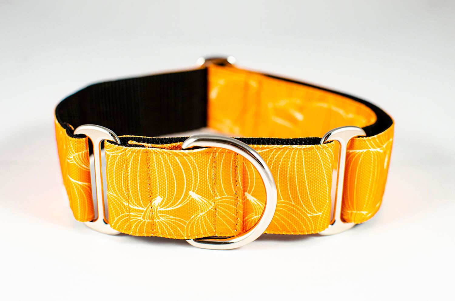 pumpkin orange martingale dog collar