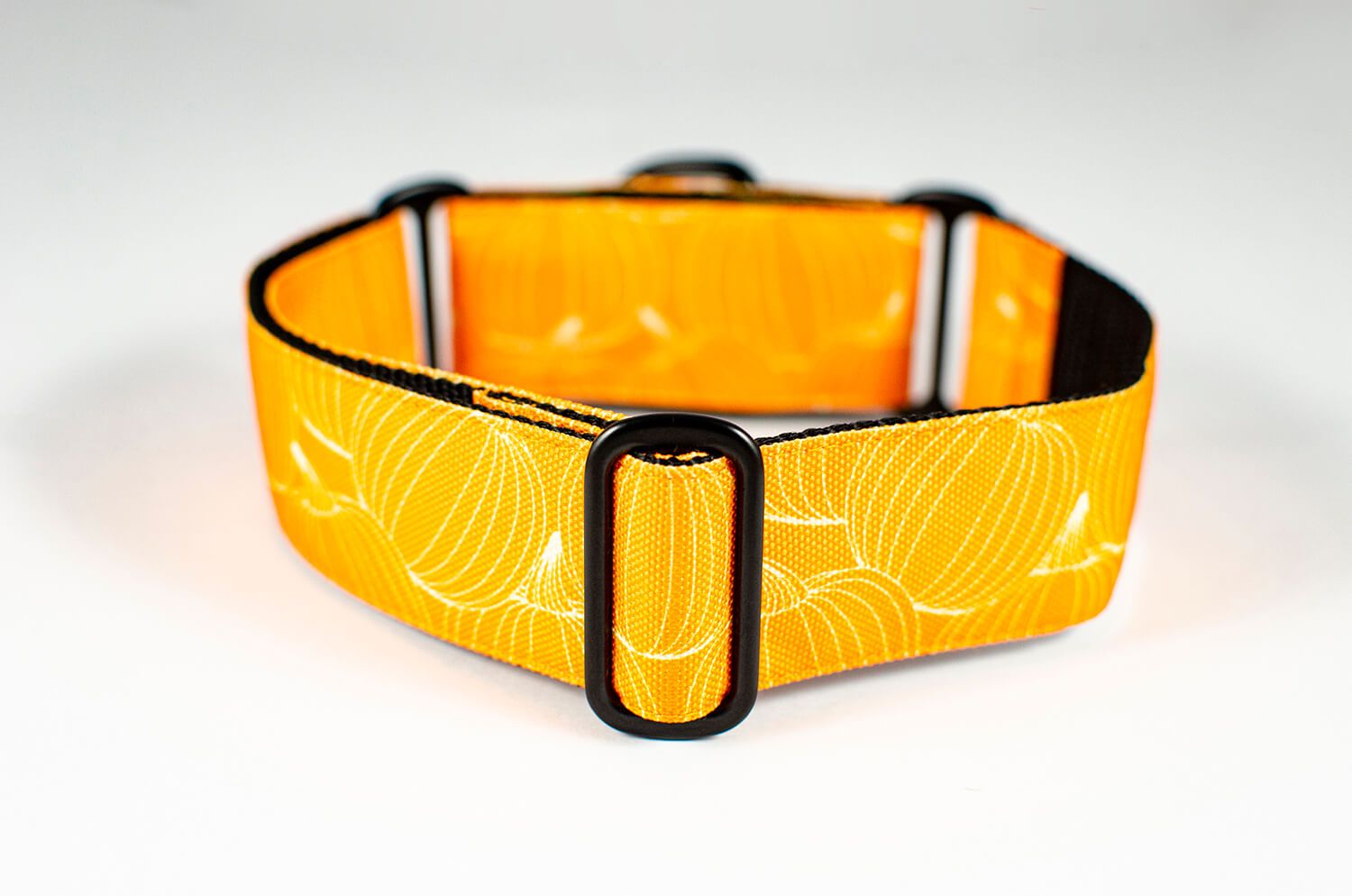 pumpkin orange martingale dog collar