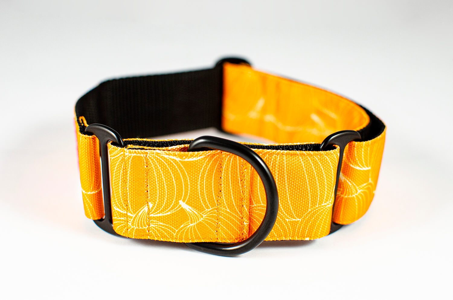 pumpkin orange martingale dog collar