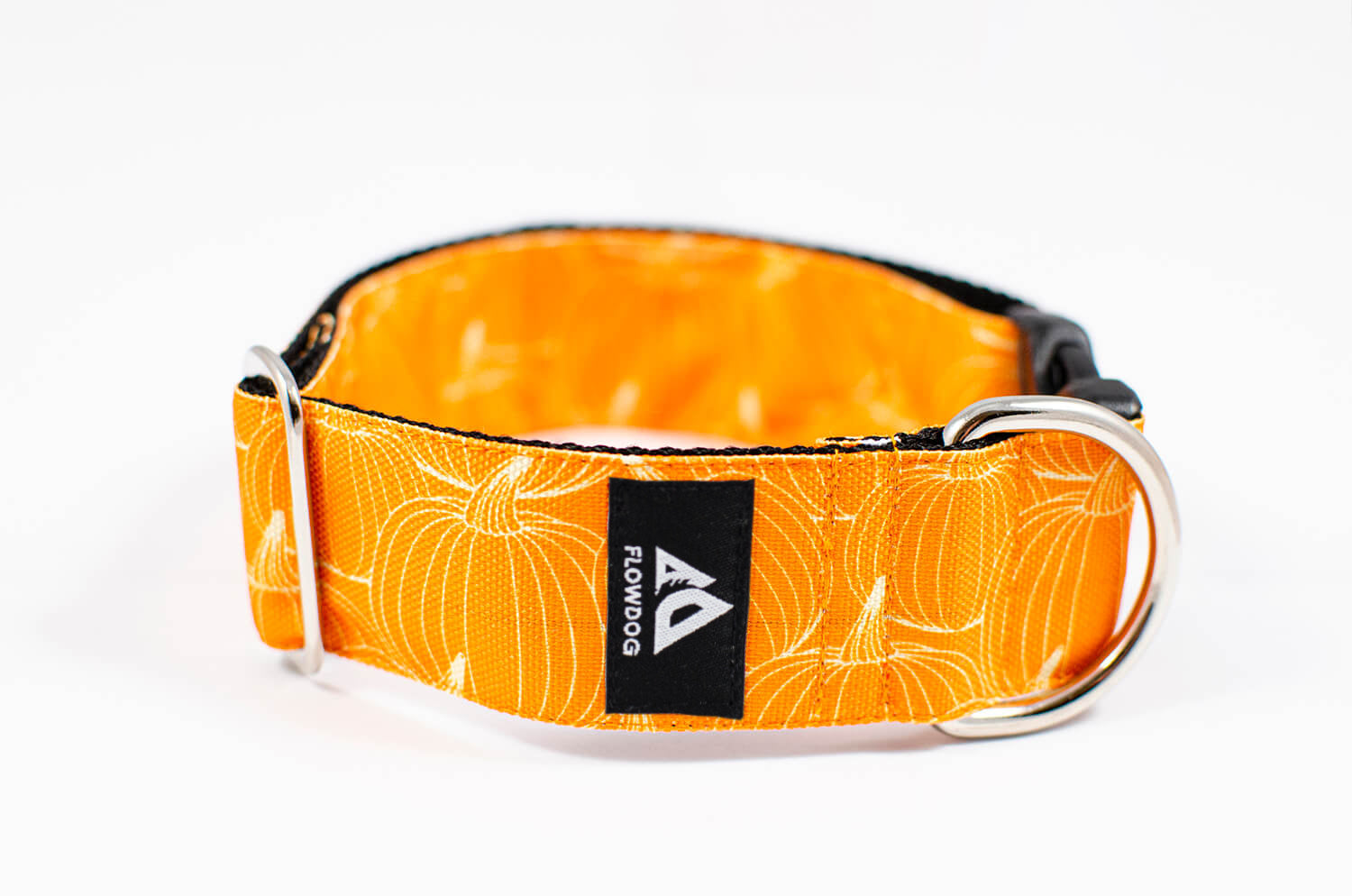 pumpkin orange dog collar with buckle