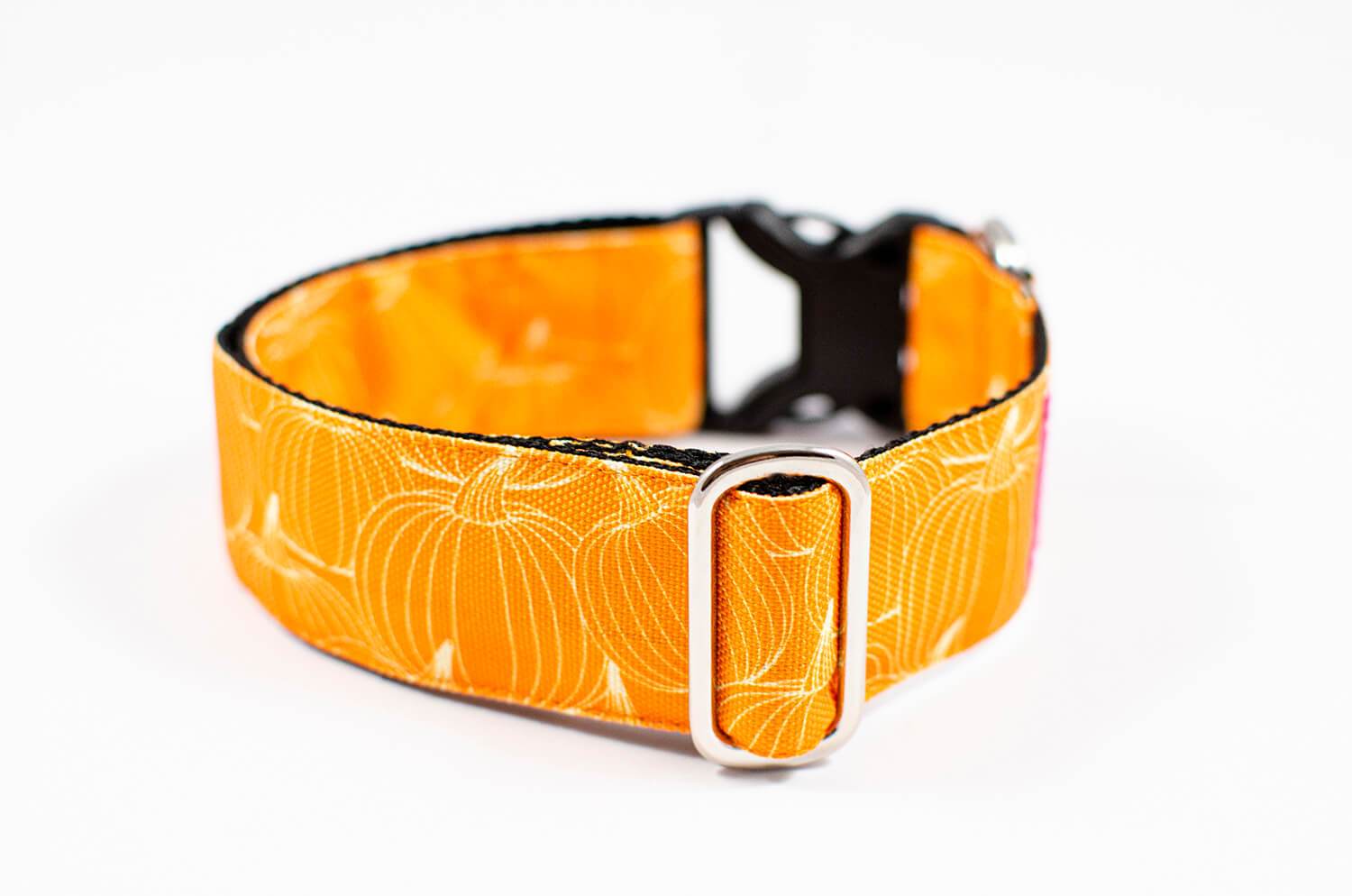 pumpkin orange dog collar with buckle