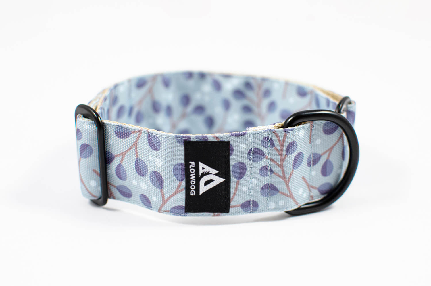 frostwork blue slip-on dog collar