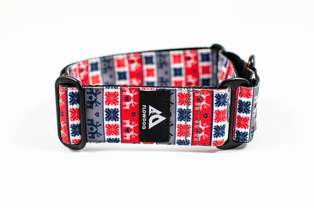 christmas sweater martingale dog collar