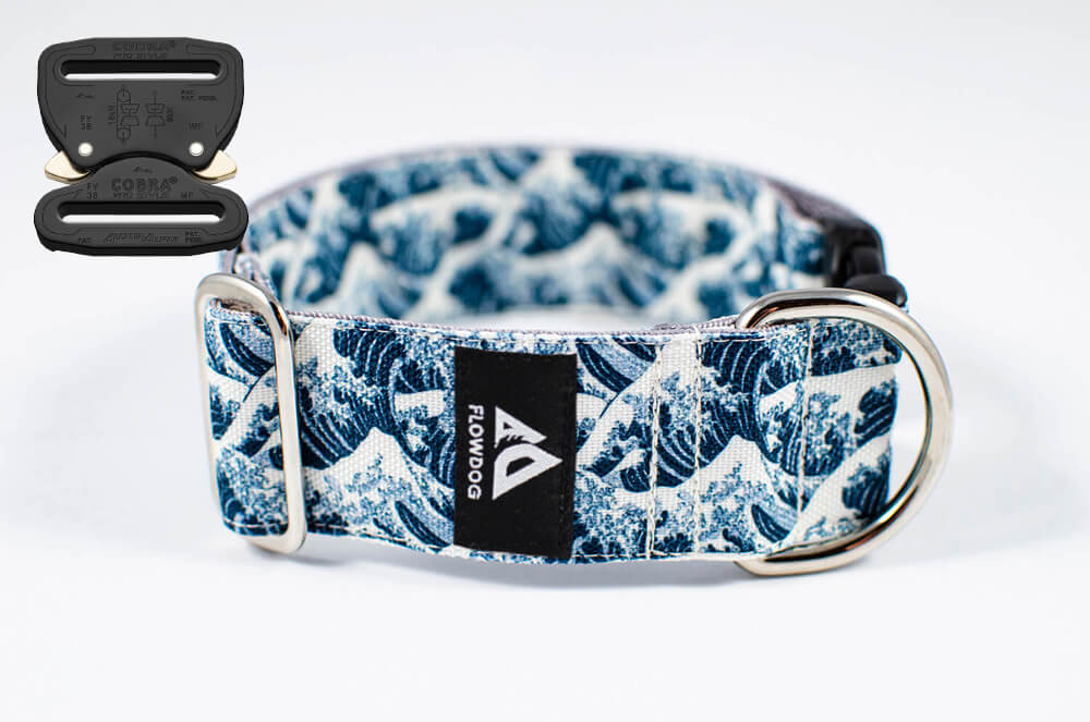 blue big wave dog collar with austrialpin buckle