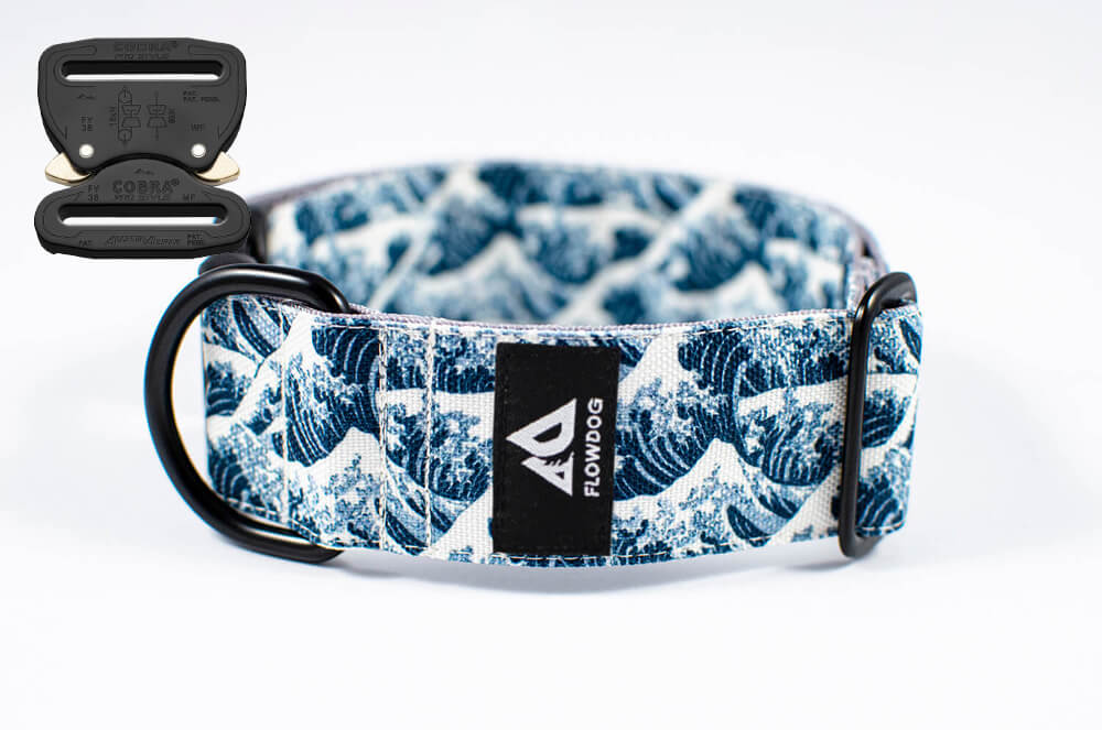 blue big wave dog collar with austrialpin buckle