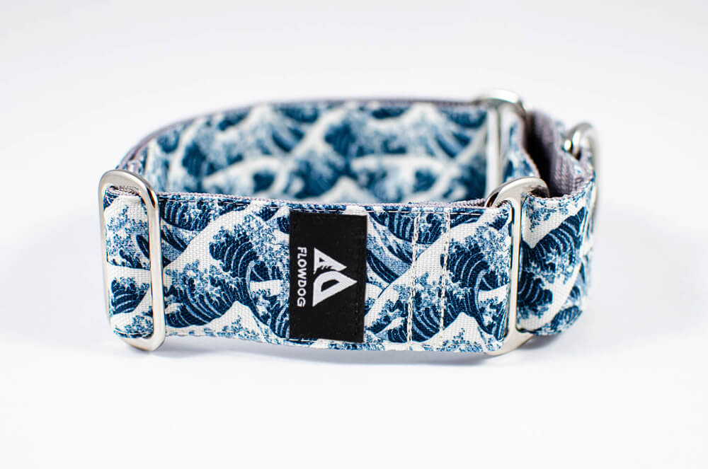 big wave blue martingale dog collar