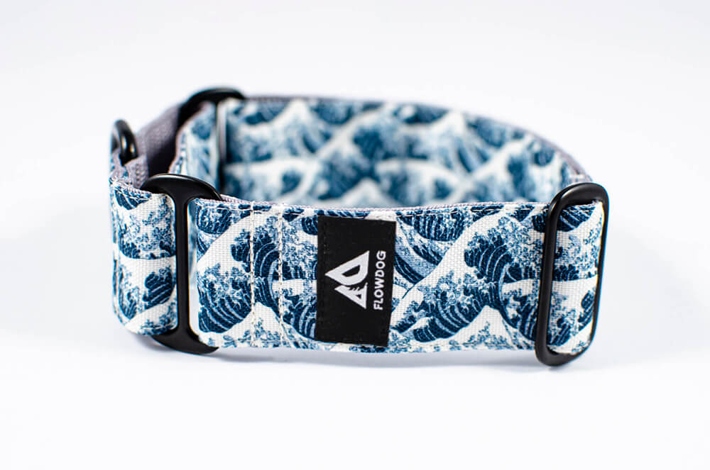 big wave blue martingale dog collar