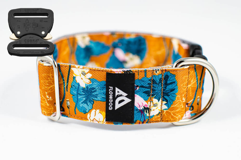 japanese garden orange dog collar with austrialpin buckle