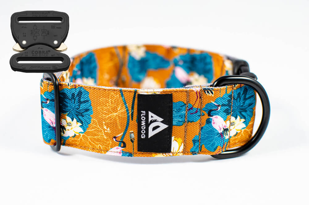 japanese garden orange dog collar with austrialpin buckle