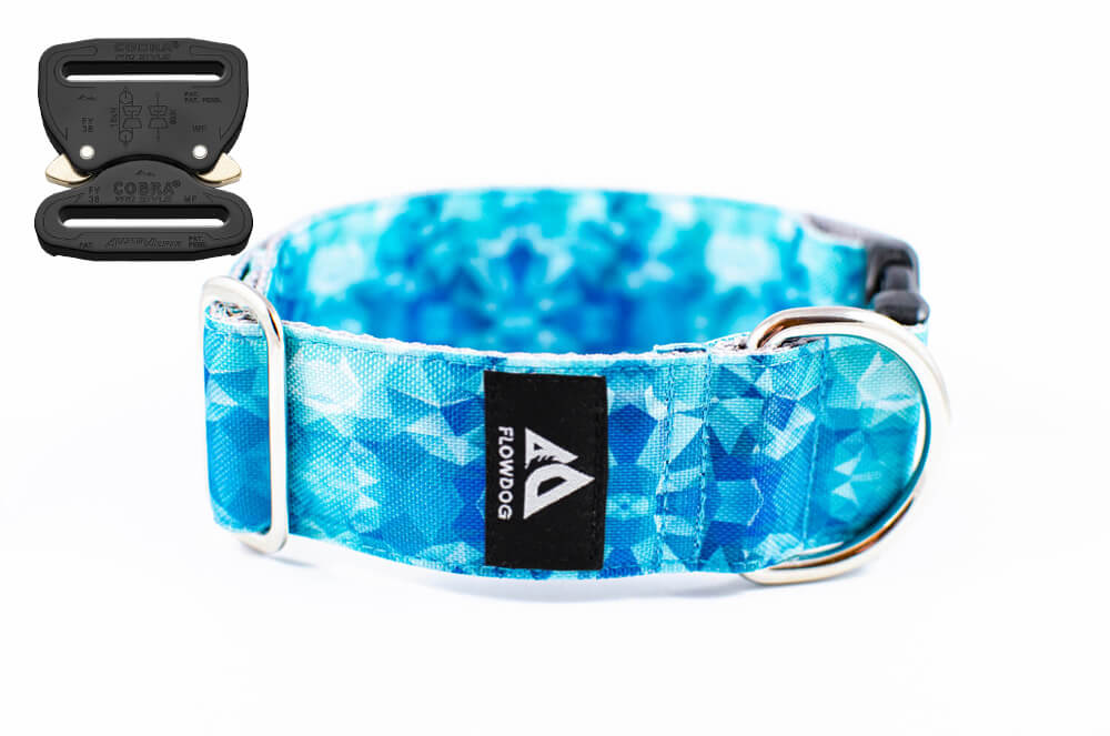 diamond blue dog collar with austrialpin buckle