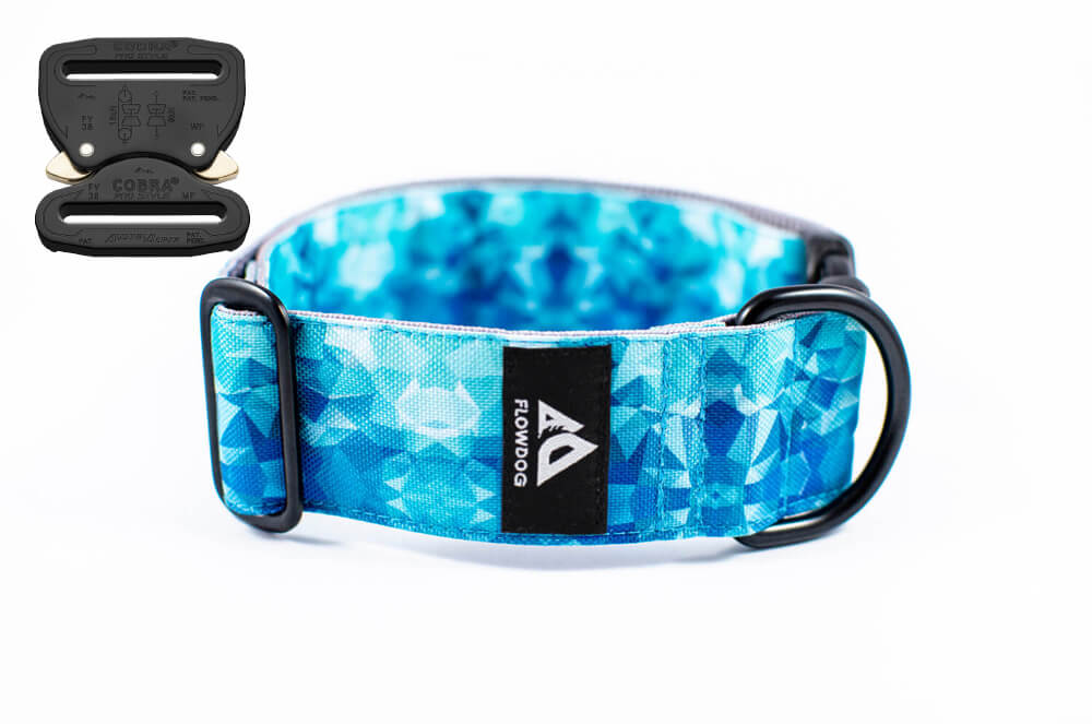 diamond blue dog collar with austrialpin buckle