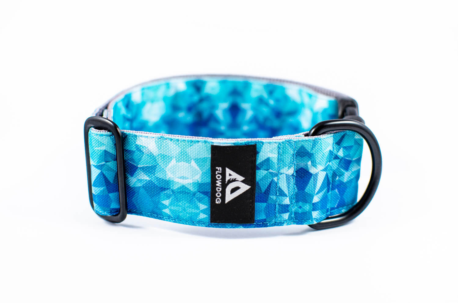 diamond blue dog collar with buckle