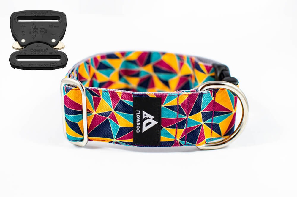 geometric dog collar with austrialpin buckle