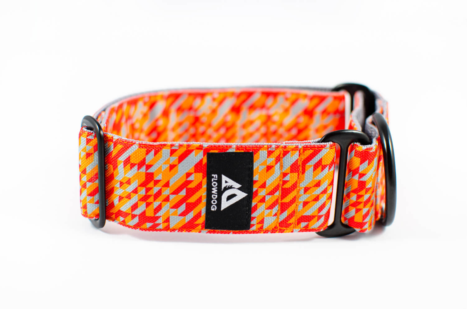 amber orange martingale dog collar