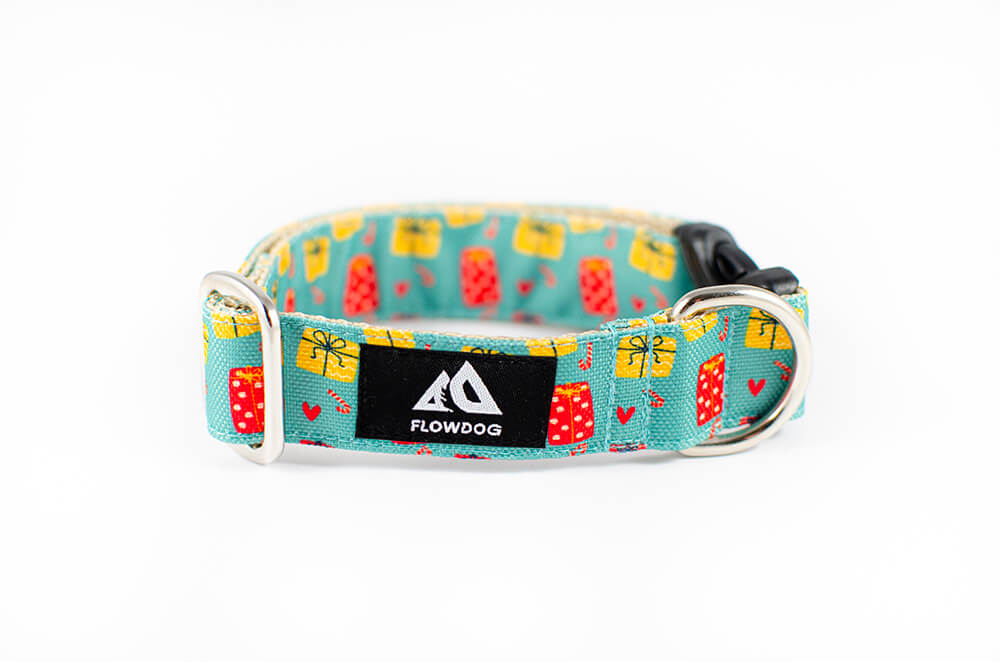 christmas gift dog collar with buckle