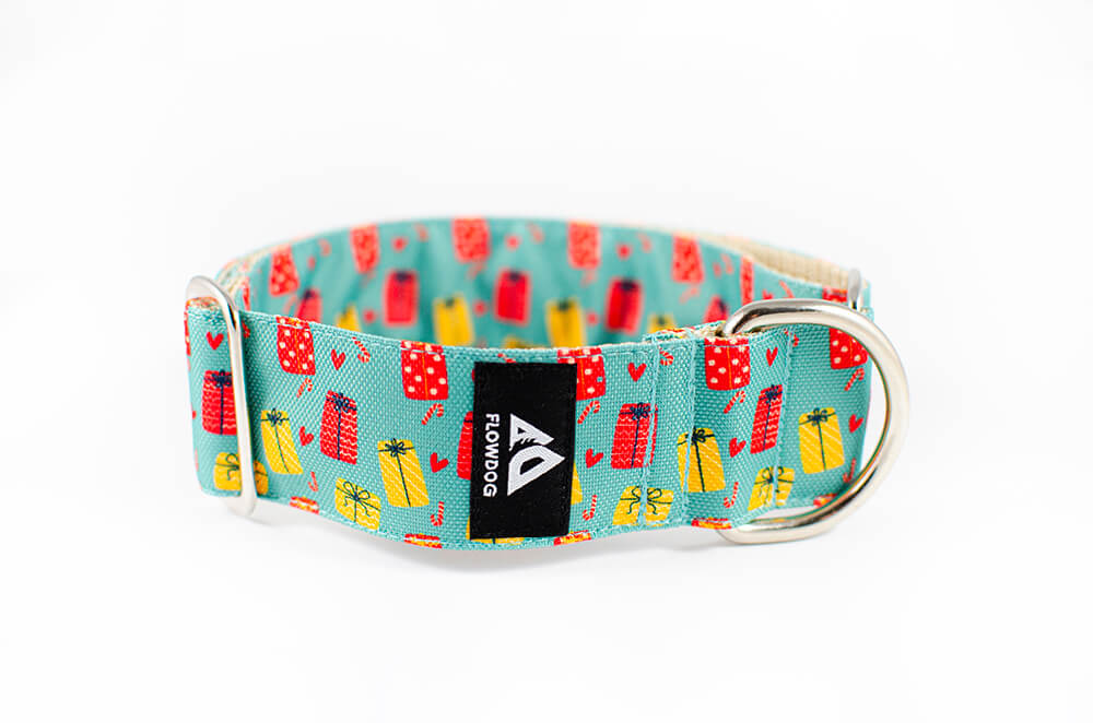 christmas gift slip-on dog collar 