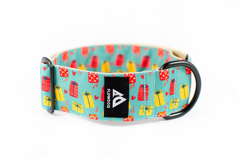 christmas gift slip-on dog collar 