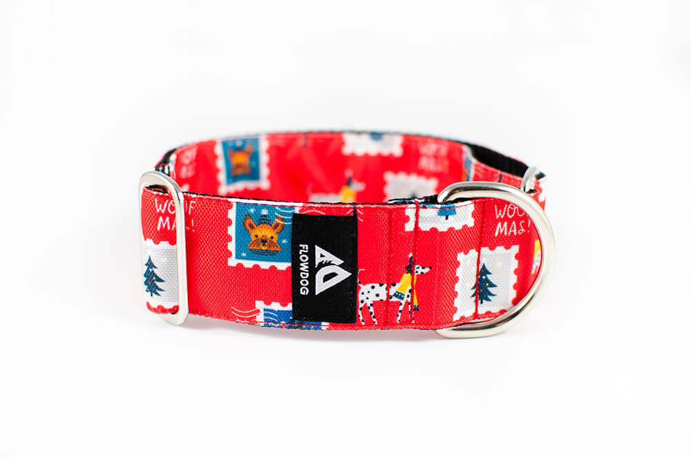 holiday postcard slip-on dog collar