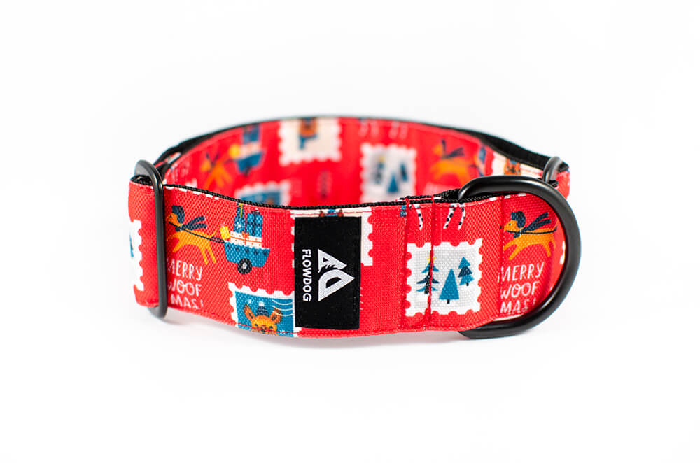 holiday postcard slip-on dog collar