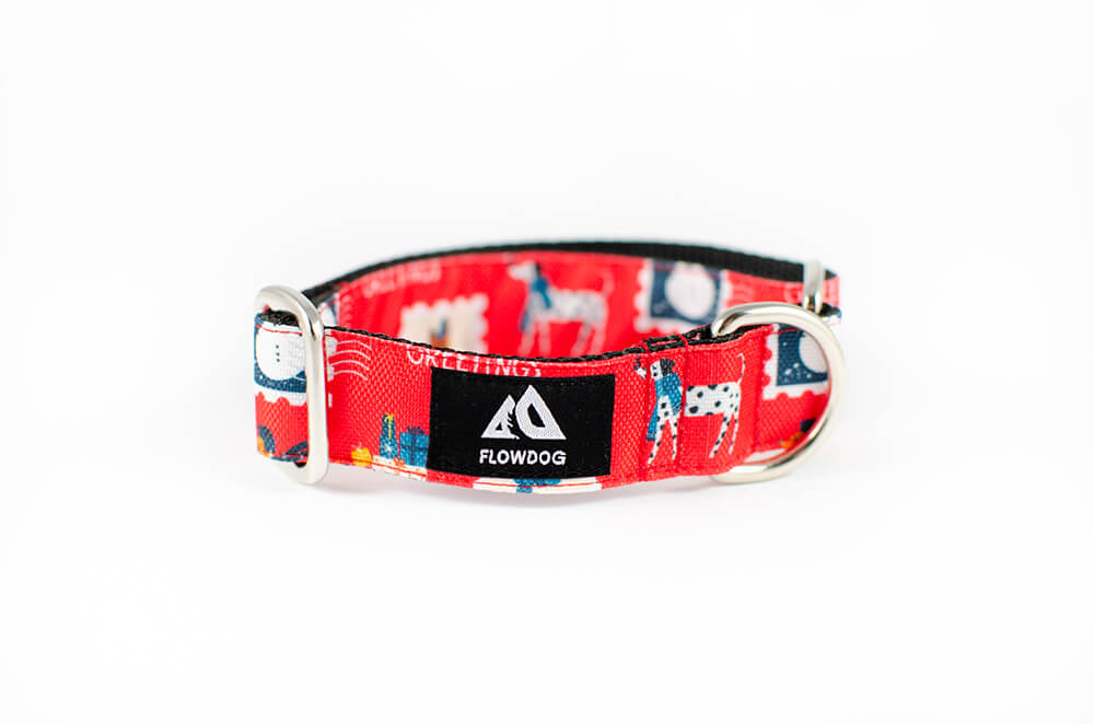 holiday postcard slip-on dog collar