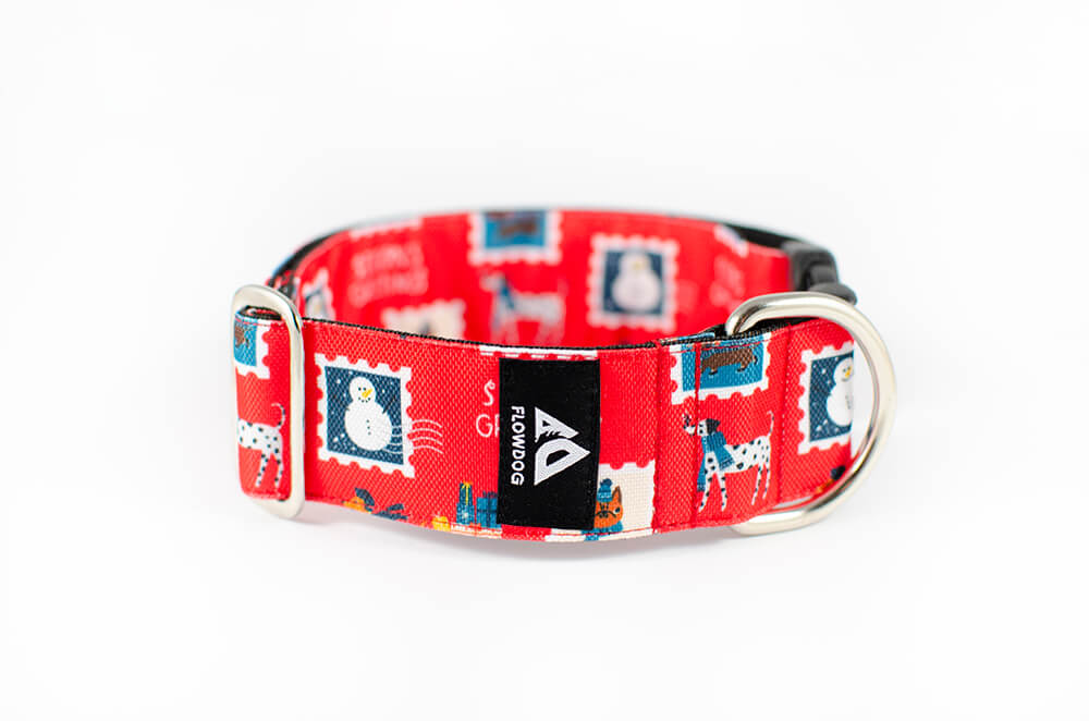 holiday postcard dog collar with buckle