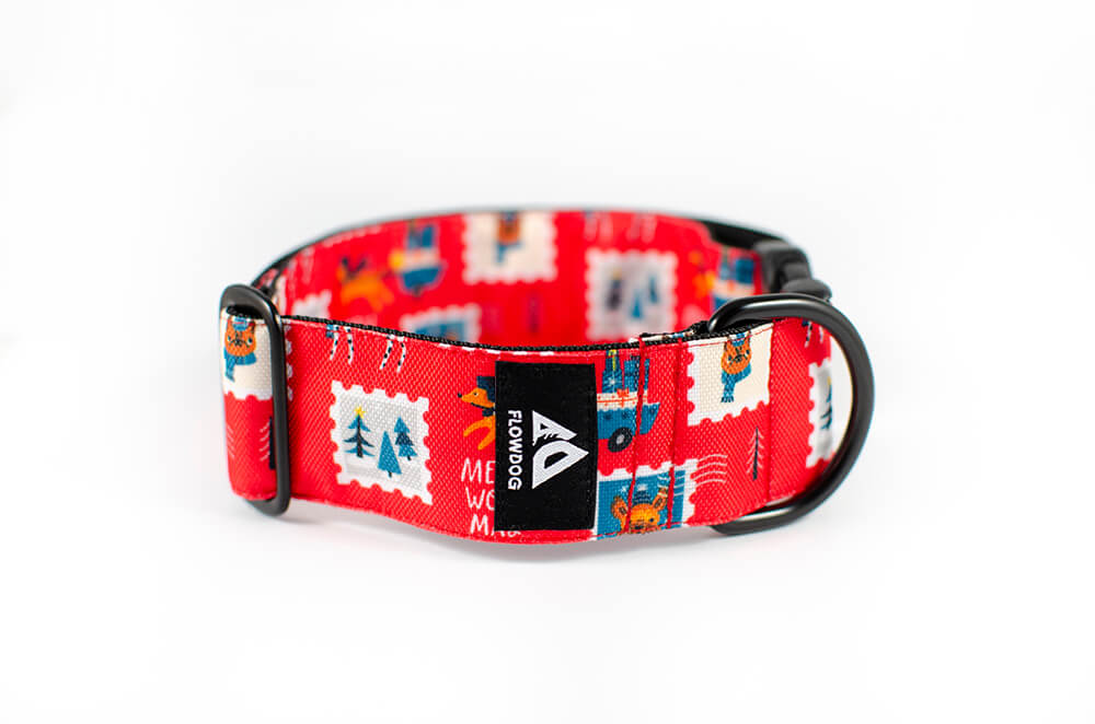 holiday postcard dog collar with buckle