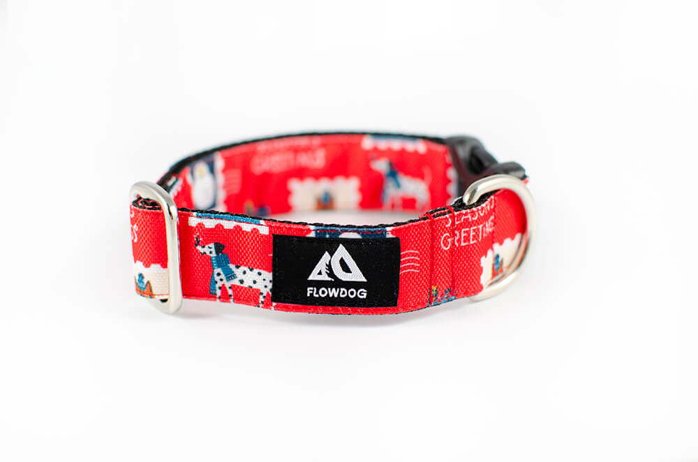 holiday postcard dog collar with buckle